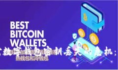 如何应对数字钱包密钥丢失的危机：全面指南