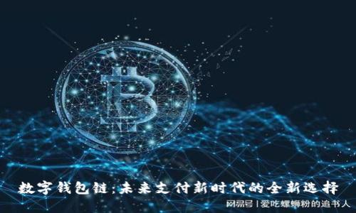 数字钱包链：未来支付新时代的全新选择