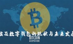 埃及数字钱包的现状与未来发展