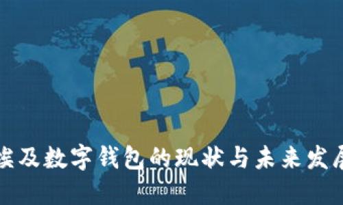 埃及数字钱包的现状与未来发展