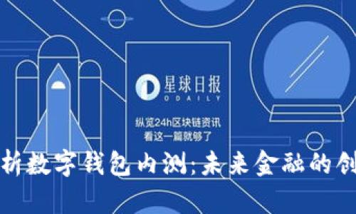 深度分析数字钱包内测：未来金融的创新之路