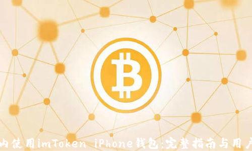 
如何在国内使用imToken iPhone钱包：完整指南与用户经验分享