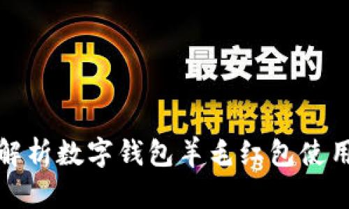 全面解析数字钱包羊毛红包使用攻略