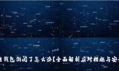 区块链钱包倒闭了怎么办？全面解析应对措施与