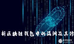 深度解析区块链钱包中的漏洞及其修复方案