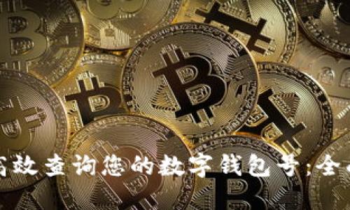 如何高效查询您的数字钱包号：全面指南