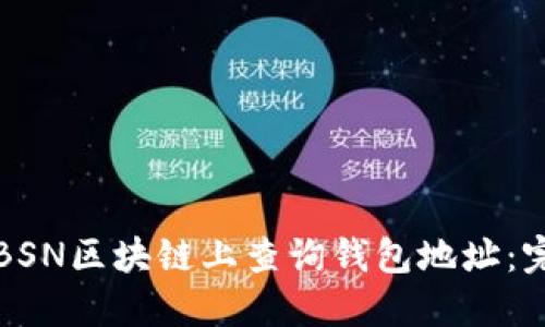 如何在BSN区块链上查询钱包地址：完整指南