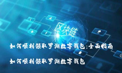 如何顺利领取罗湖数字钱包：全面指南

如何顺利领取罗湖数字钱包
