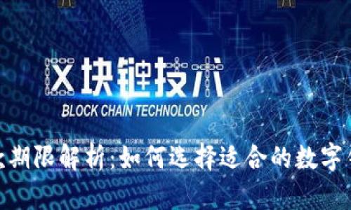 数字钱包借款期限解析：如何选择适合的数字钱包借款服务