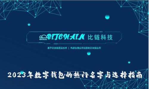 2023年数字钱包的热门名字与选择指南