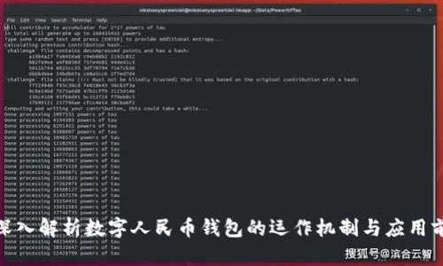 : 深入解析数字人民币钱包的运作机制与应用前景