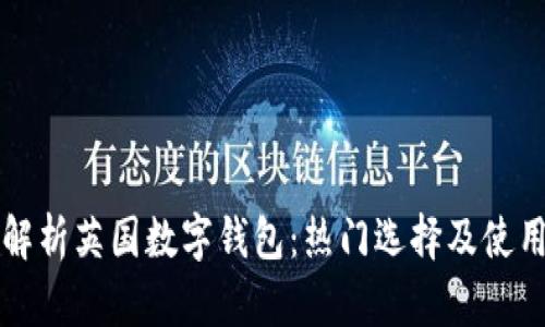 全面解析英国数字钱包：热门选择及使用指南