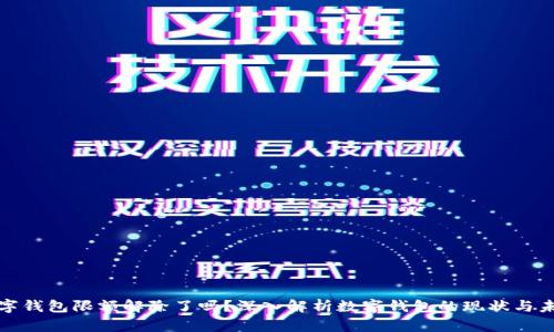 数字钱包限额解除了吗？深入解析数字钱包的现状与未来