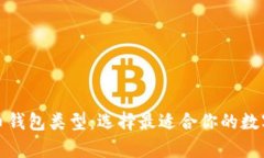 全面解析加密币钱包类型：选择最适合你的数字