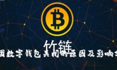 美团数字钱包关闭的原因及影响分析