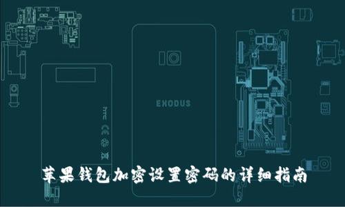 苹果钱包加密设置密码的详细指南