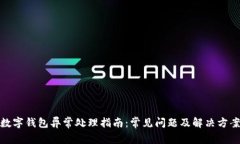 数字钱包异常处理指南：常见问题及解决方案