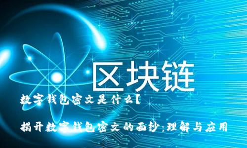 数字钱包密文是什么？

揭开数字钱包密文的面纱：理解与应用