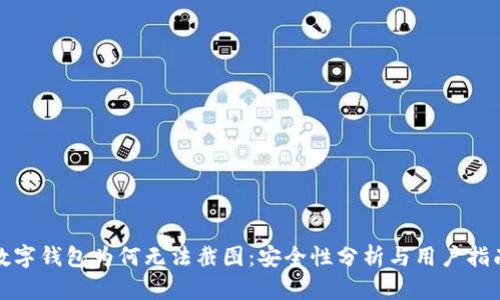 数字钱包为何无法截图：安全性分析与用户指南