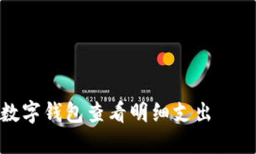 如何使用数字钱包查看明细支出 – 完整指南