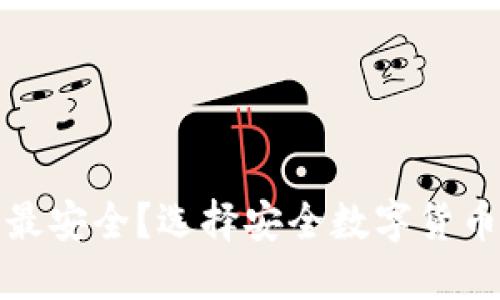 数字币钱包哪个最安全？选择安全数字货币钱包的全面指南