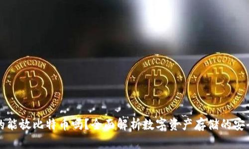 : IM钱包真的能放比特币吗？全面解析数字资产存储的安全性与便捷性
