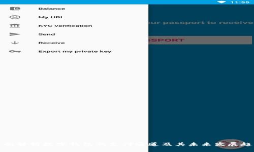 全面解析数字钱包的支付通道及其未来发展趋势