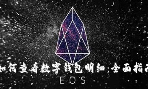 如何查看数字钱包明细：全面指南