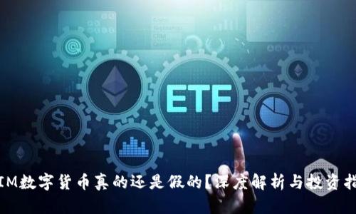 : IM数字货币真的还是假的？深度解析与投资指南