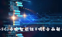 IM钱包支持BSC（币安智能链）吗？全面解读与用户