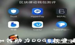   imToken钱包如何助力DOGE投资者的安全与便利