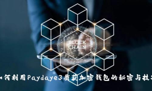 如何利用Paydaye3截获加密钱包的秘密与技巧