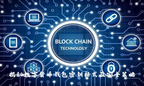 揭秘数字货币钱包密钥格式及安全策略