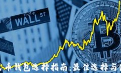 数字人民币钱包选择指南：最佳选择与使用技巧