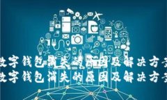 数字钱包消失的原因及解决方案数字钱包消失的