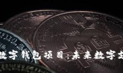 全面解析银链数字钱包项目：未来数字支付的创