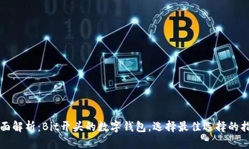 全面解析：Bit开头的数字钱包，选择最佳选择的指南
