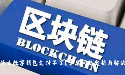 : 为什么数字钱包支付不了？常见问题分析与解决方案