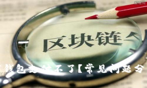 : 为什么数字钱包支付不了？常见问题分析与解决方案