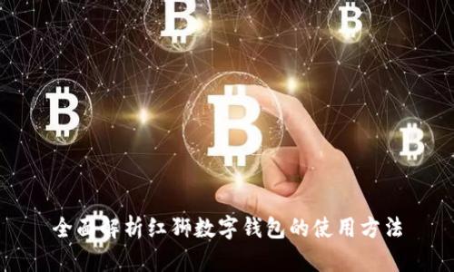 全面解析红狮数字钱包的使用方法