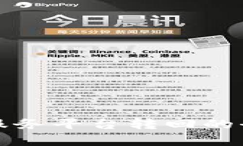 数字钱包对公服务平台转回的全面解析与应用