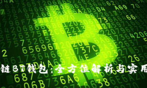 区块链BT钱包：全方位解析与实用指南