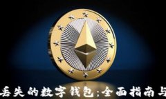 如何找回丢失的数字钱包：全面指南与解决方案