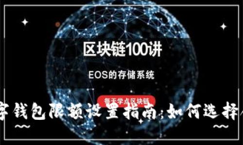 biasoti数字钱包限额设置指南：如何选择合适的限额