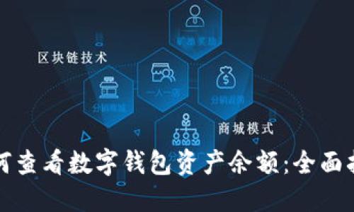 如何查看数字钱包资产余额：全面指南