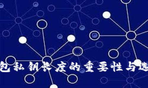 数字钱包私钥长度的重要性与选择指南