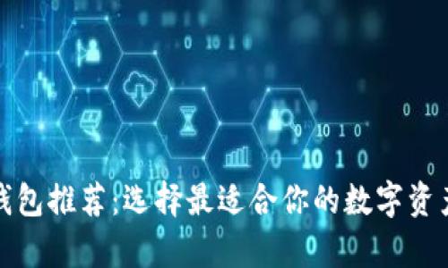 数字货币钱包推荐：选择最适合你的数字资产存储工具