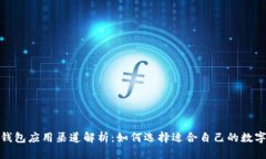 数字钱包应用渠道解析：如何选择适合自己的数