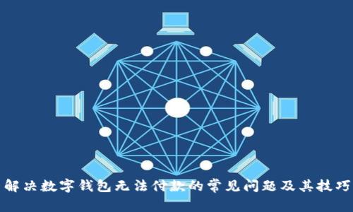 解决数字钱包无法付款的常见问题及其技巧