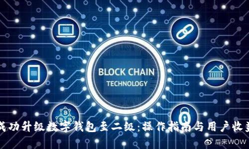 如何成功升级数字钱包至二级：操作指南与用户收益解析
